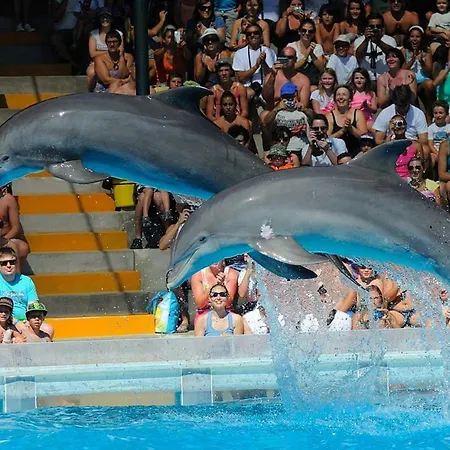 Great Sea View * ألفور