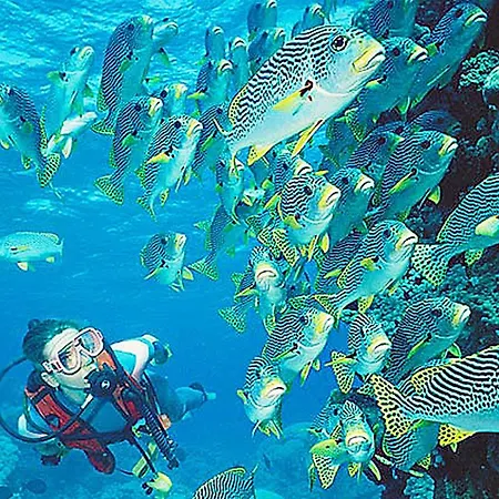 Apartment Great Sea View